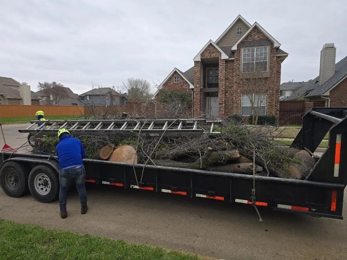 Expert Lot Clearing with proper safety equipment in Malvern